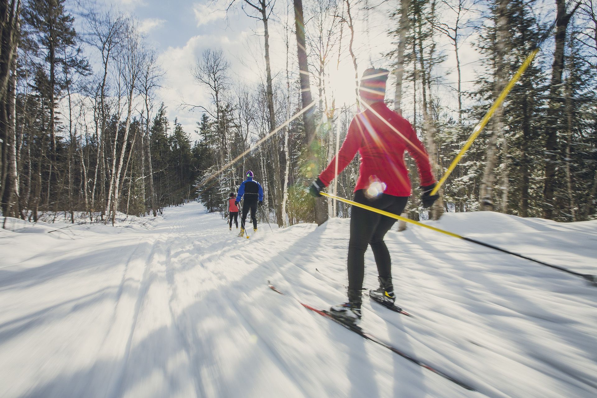 A person in a red jacket is cross-country skiing on a sunny day through the woods.