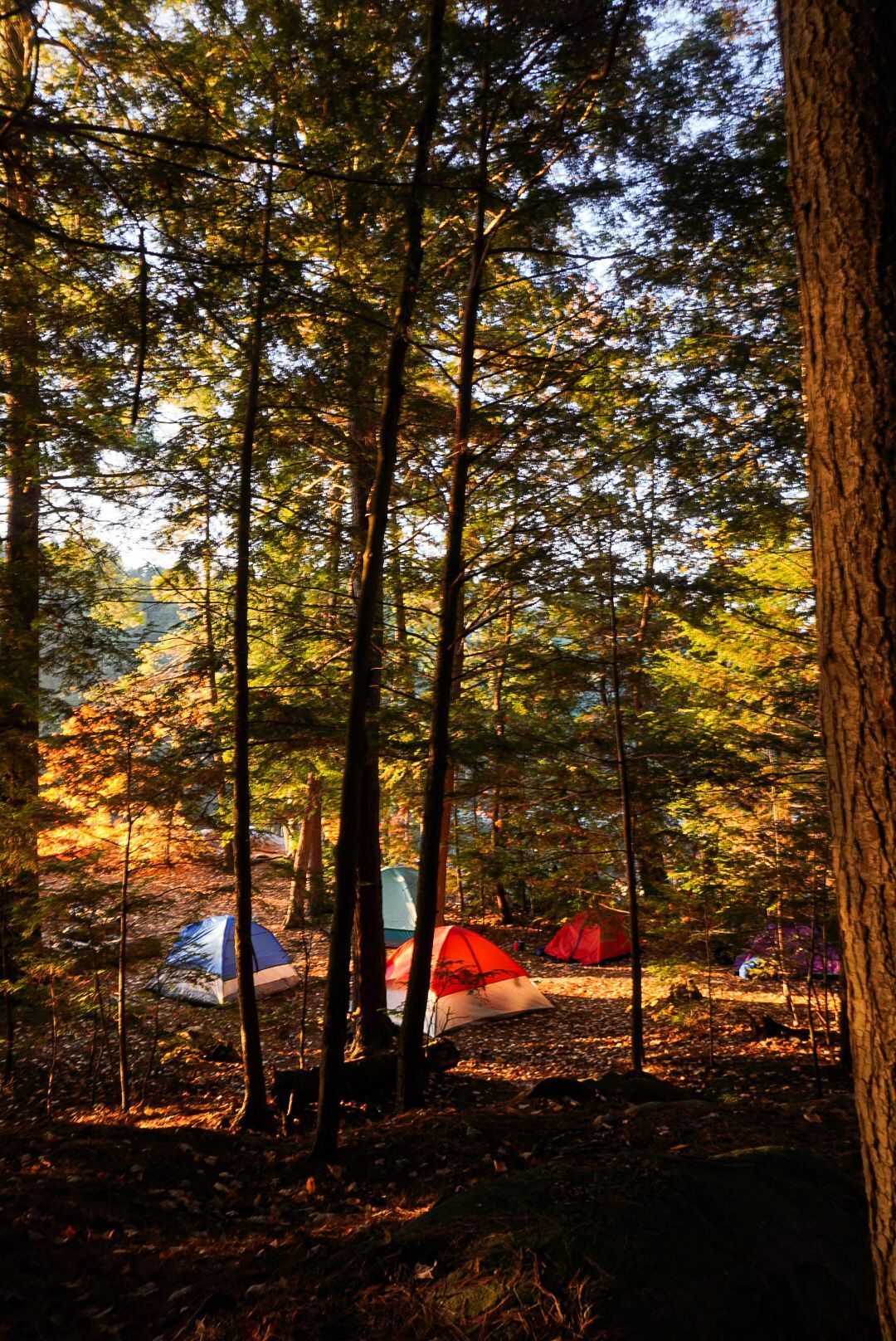 A backcountry campsite in Killarney is filled with colourful tents.