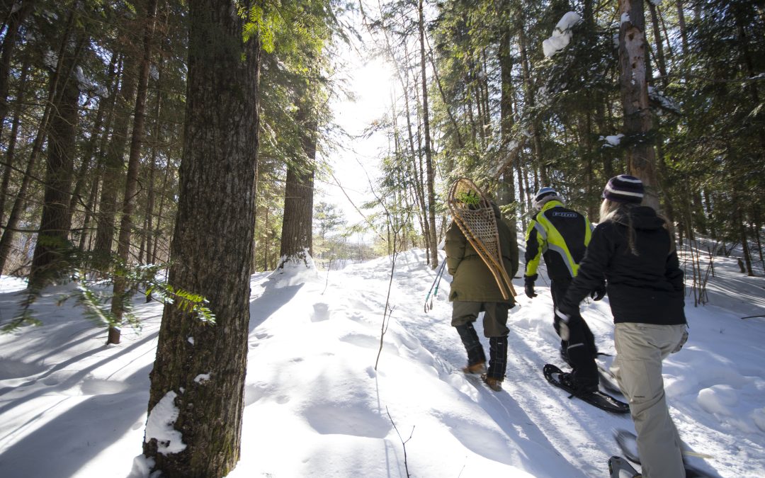 Canadian Ecology Centre – Your Getaway to the Great Outdoors