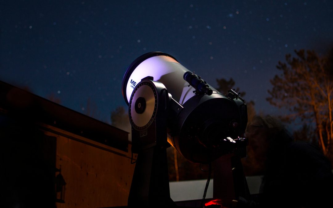 Looking Up: The Northern Winter Night Sky