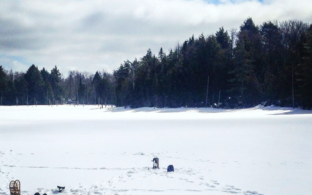 Back Lake Adventuring: Fishing for Brook Trout & Splake