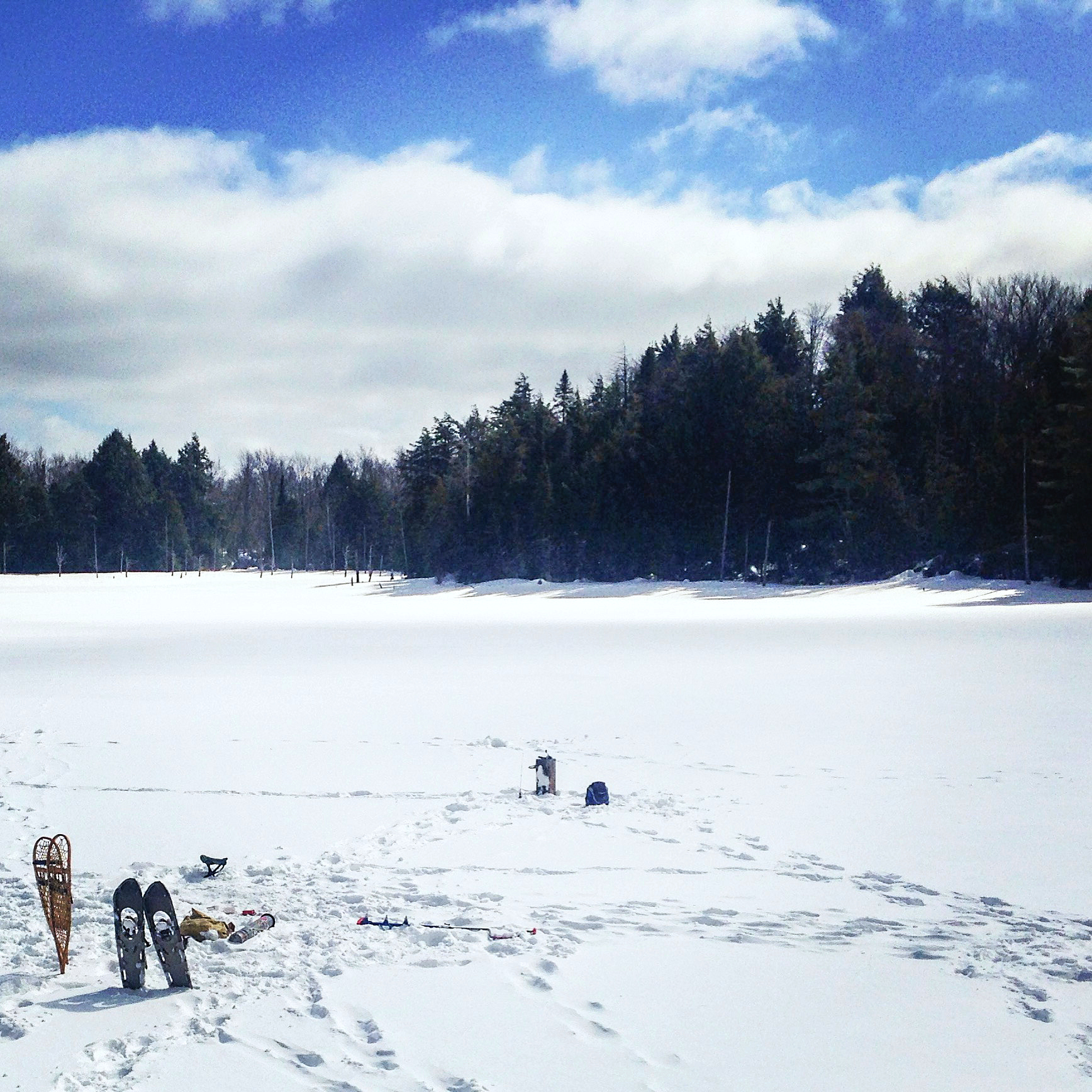 Brook Trout Back lake