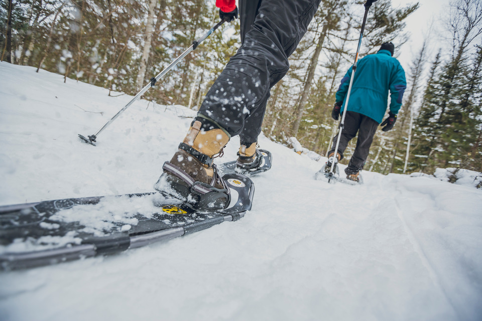 Where To Go Snowshoeing This Winter