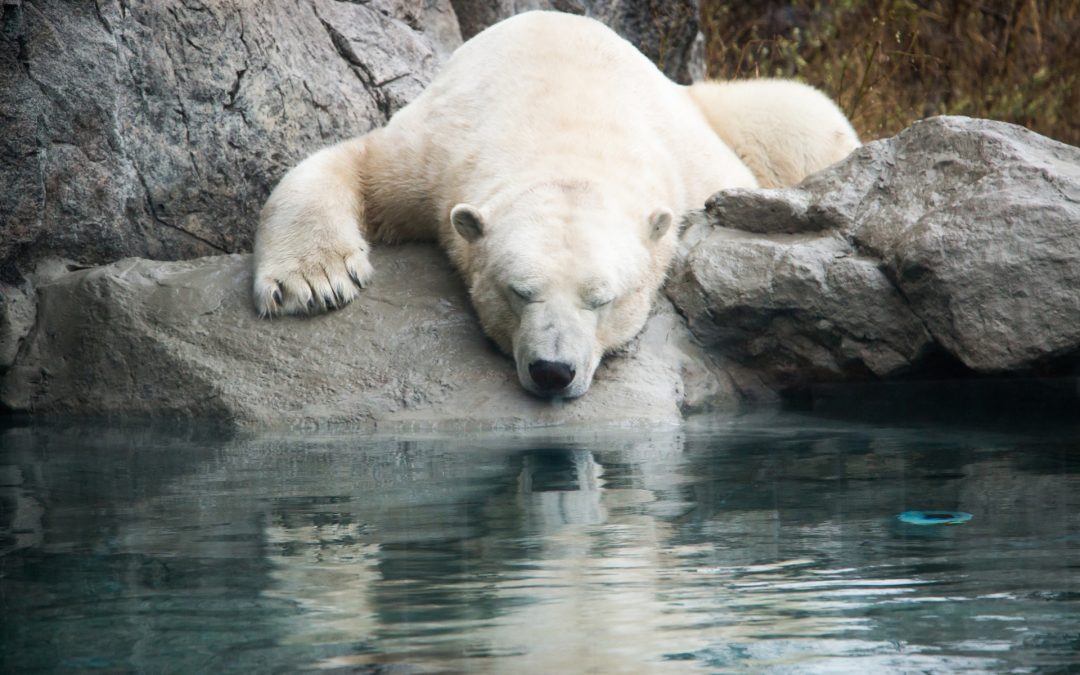 12 Gorgeous Instagram Photos from Northeastern Ontario Photographers