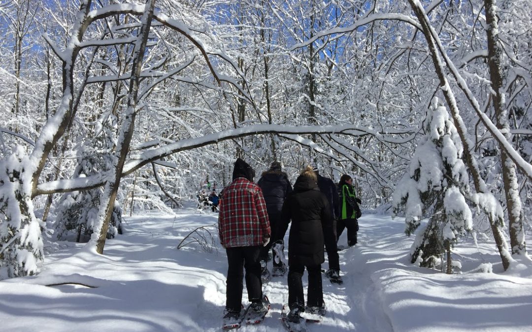 Top 5 Snowshoeing Destinations in Northeastern Ontario