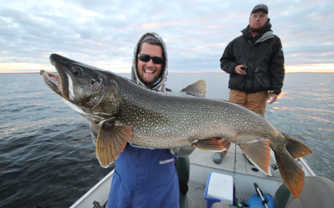 Tips for Catching The Elusive Lake Trout