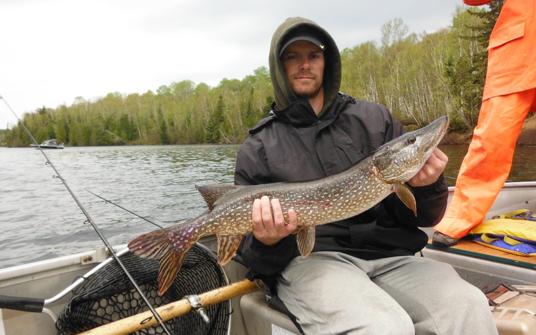 Luke Gagnon with a Lake Whanapitai Nothern Pike