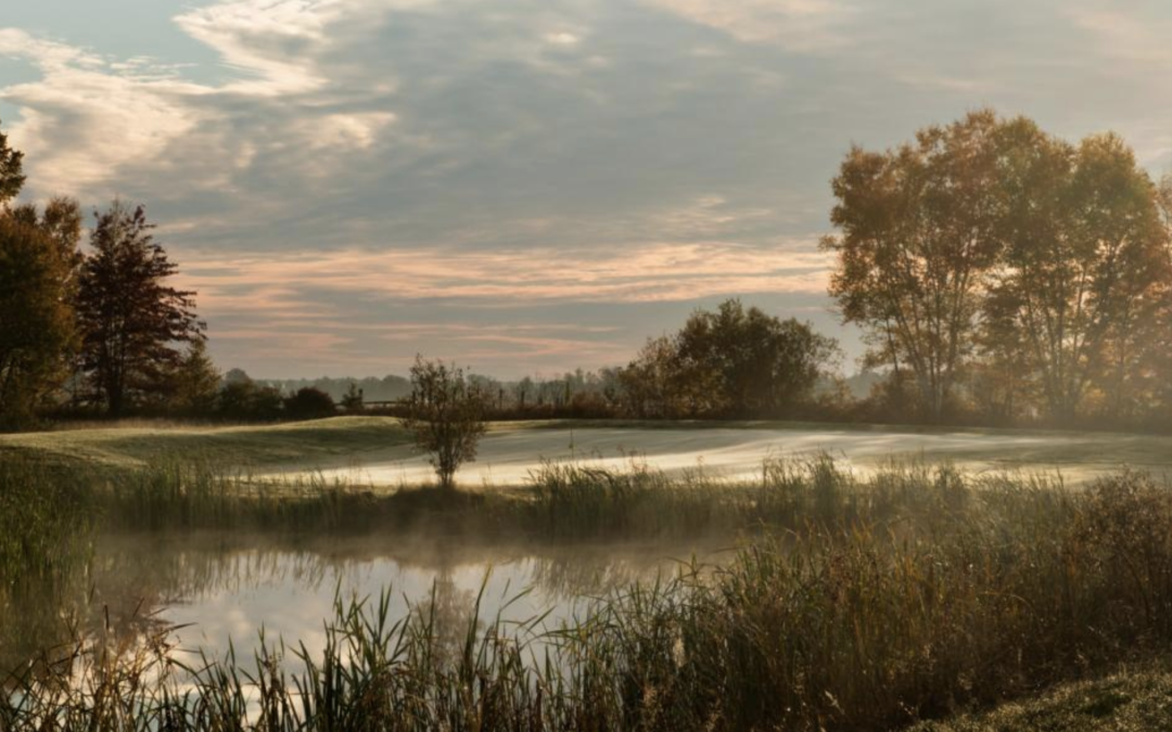 The Maples Golf Course