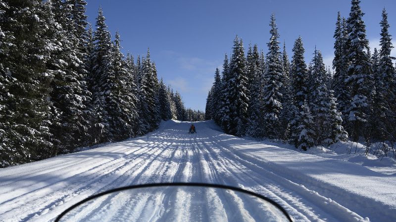 The Conference Board of Canada: New Report Outlines Economic, Health, Conservation Benefits of Trails