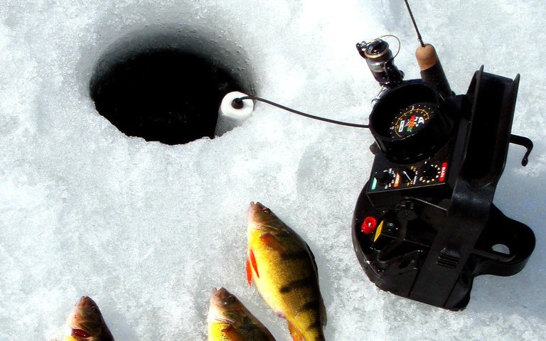 What’s in Your Tackle Box? Best Lures for Ice Fishing