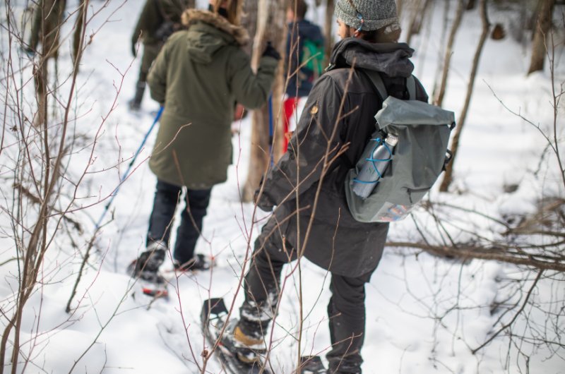 Friends snowshoeing through the trees in Temagami